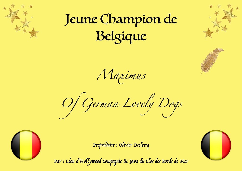 Of German Lovely Dogs - Le Premier Champion d'une Longue Série !
